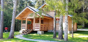 Chalet L' ADRET
